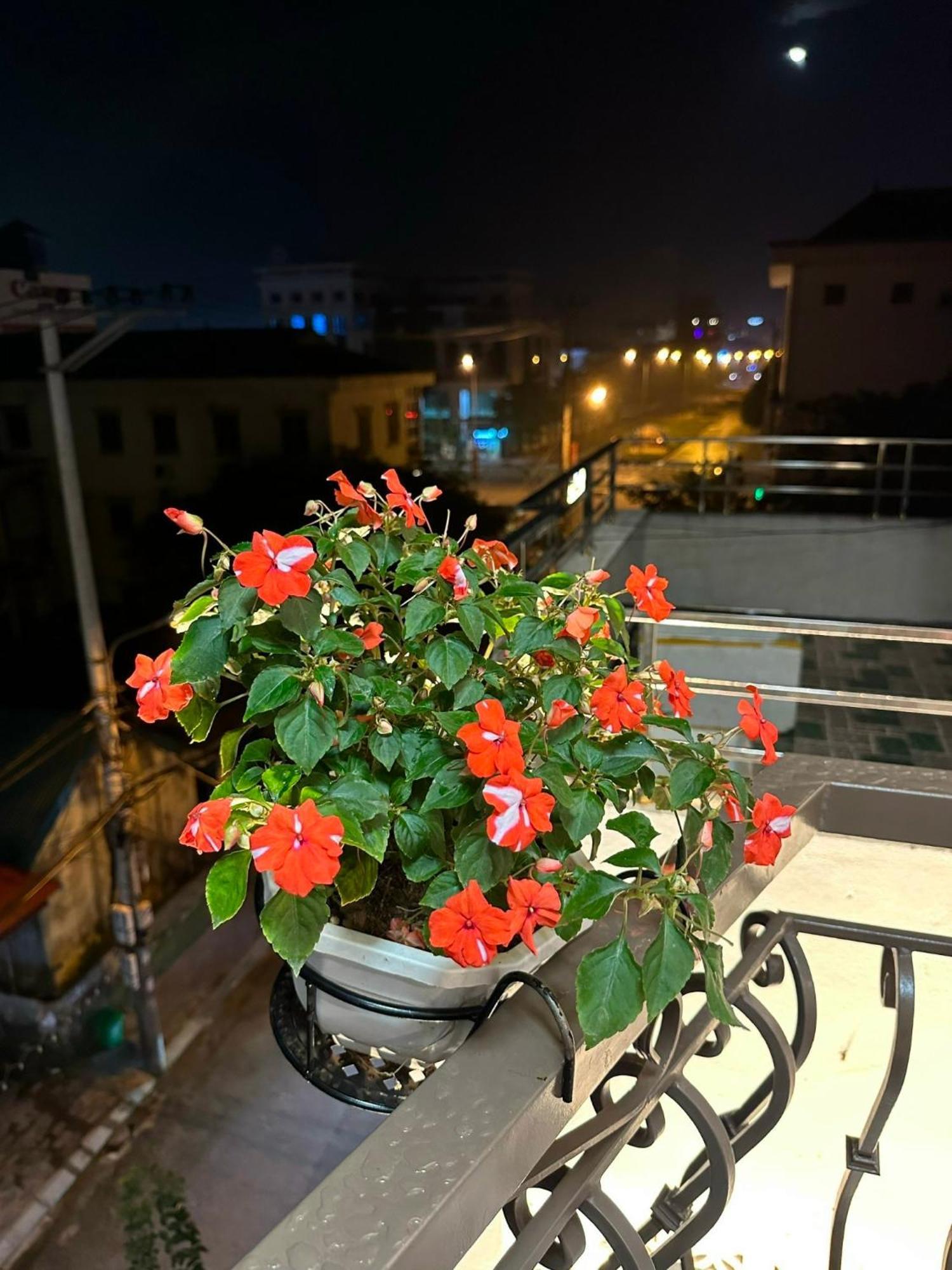 Dolce Mia Home Ninh Binh Dış mekan fotoğraf